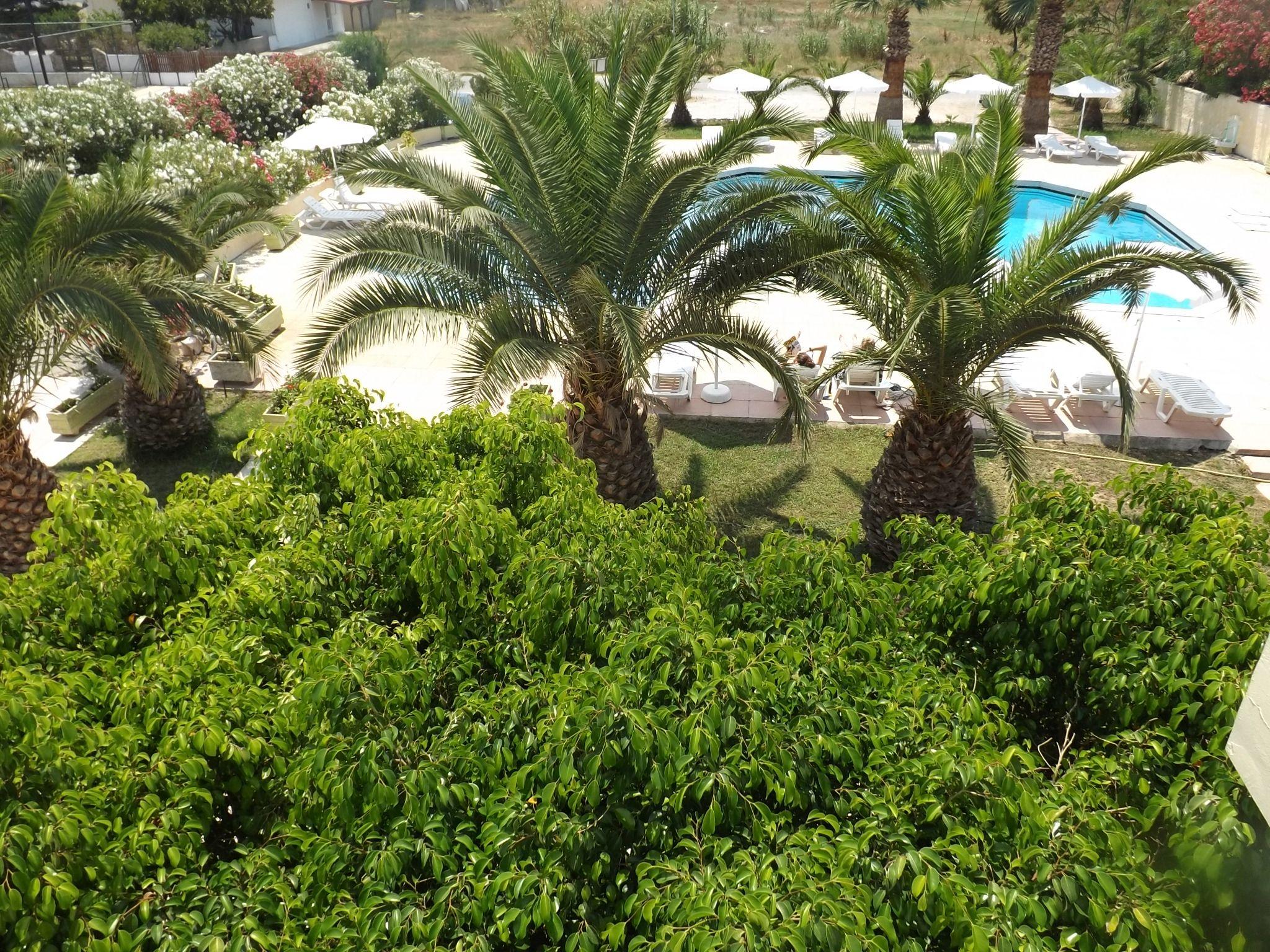 Leonidas Hotel & Studios Kos Exterior photo